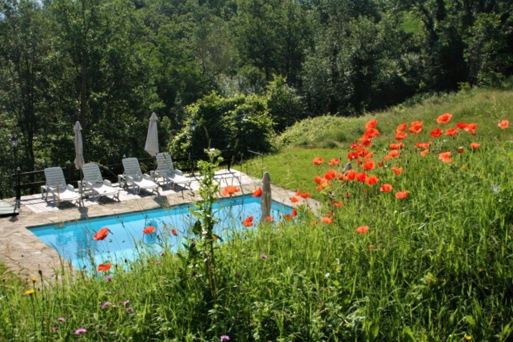Casa Domenica - Home&More Monastero Bormida 外观 照片
